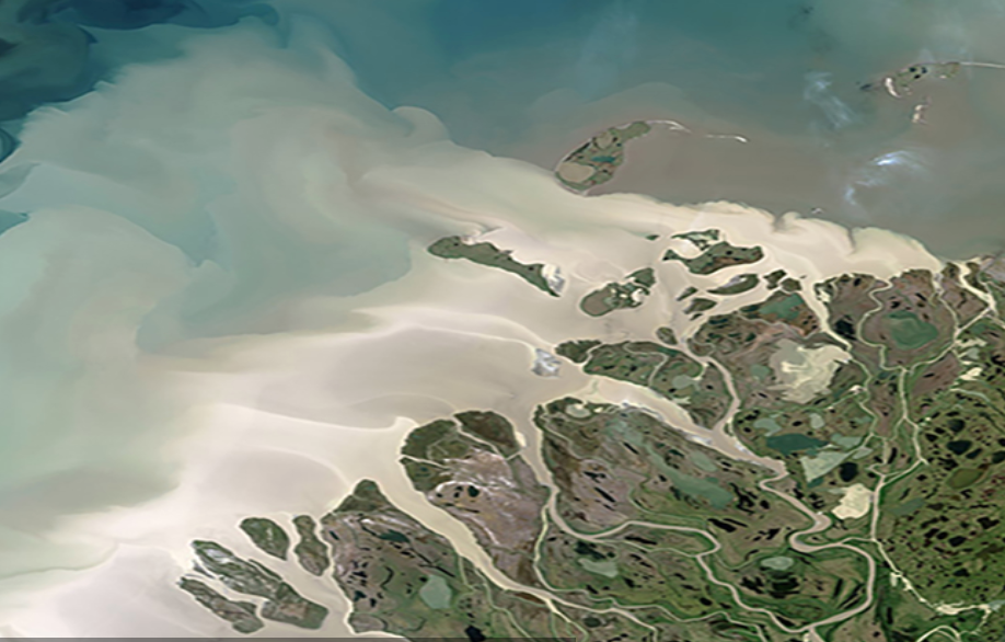 Satellite image of coastal runoff